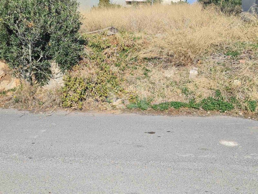 εικόνα αγγελίας