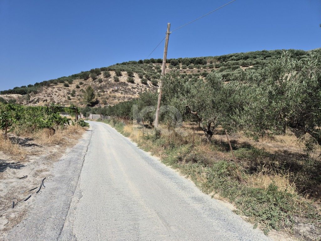 εικόνα αγγελίας