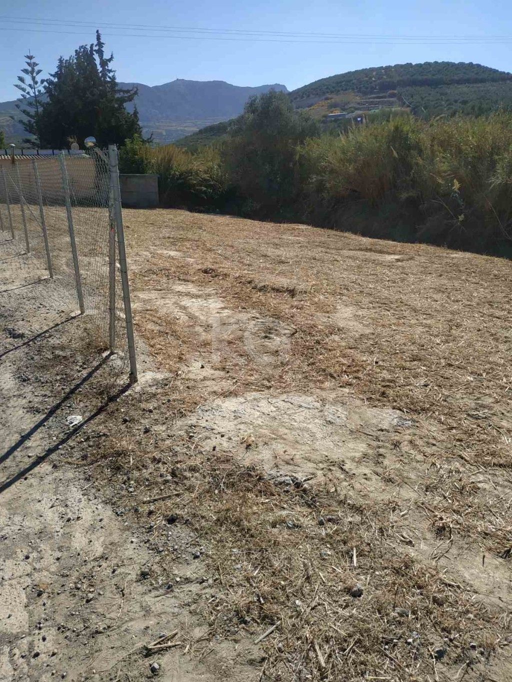 εικόνα αγγελίας