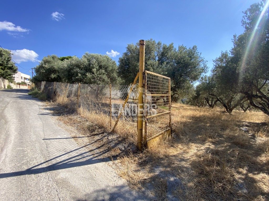 εικόνα αγγελίας