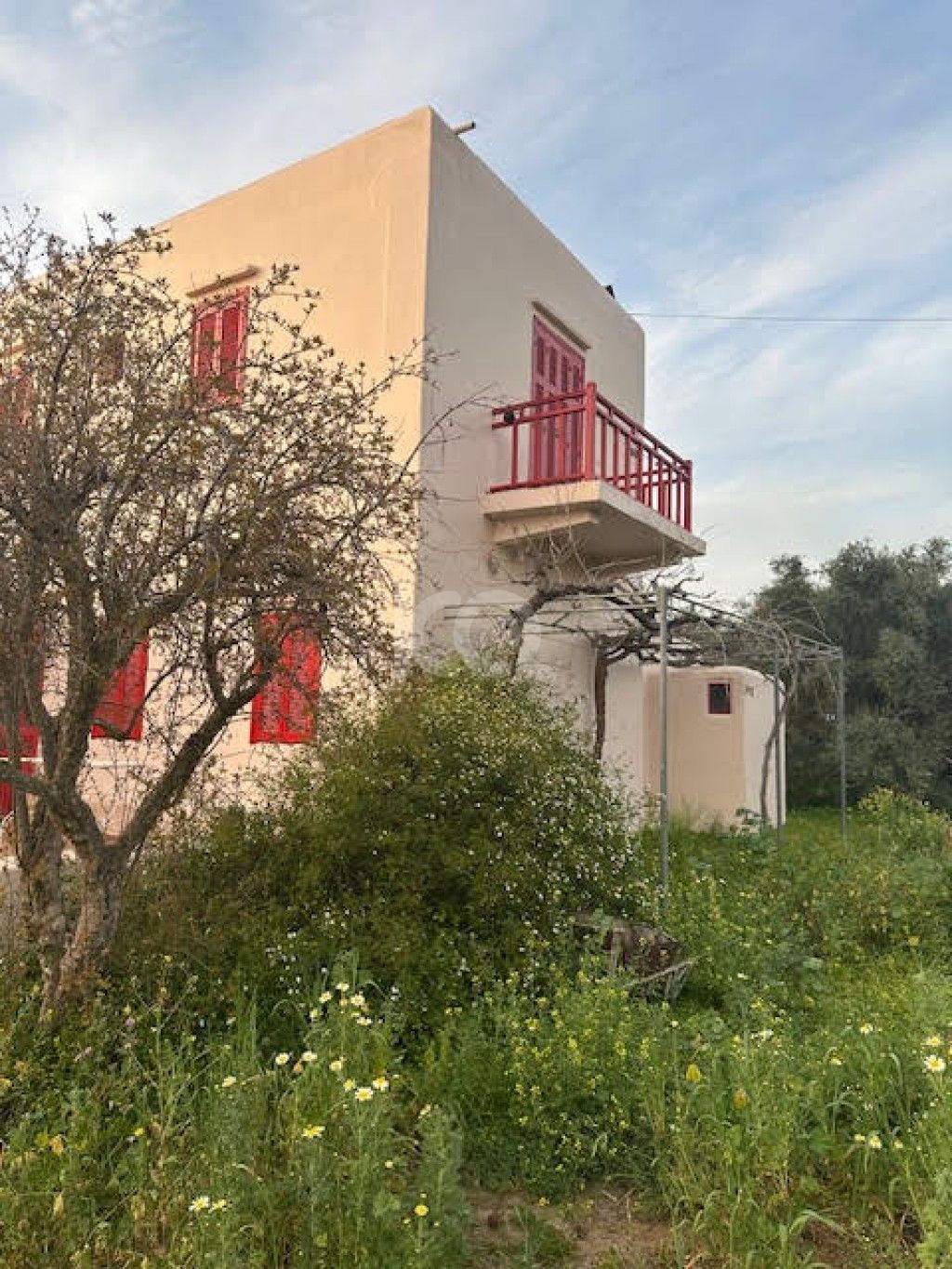 εικόνα αγγελίας