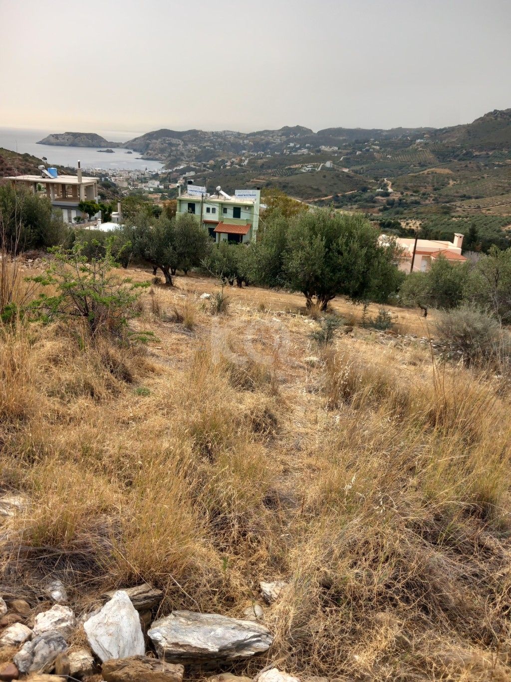 εικόνα αγγελίας