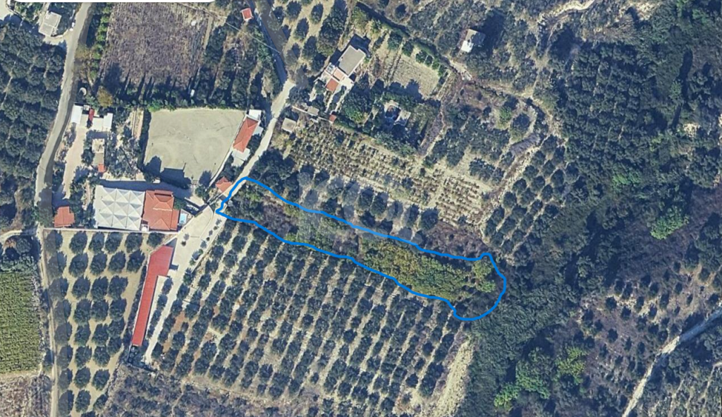 εικόνα αγγελίας