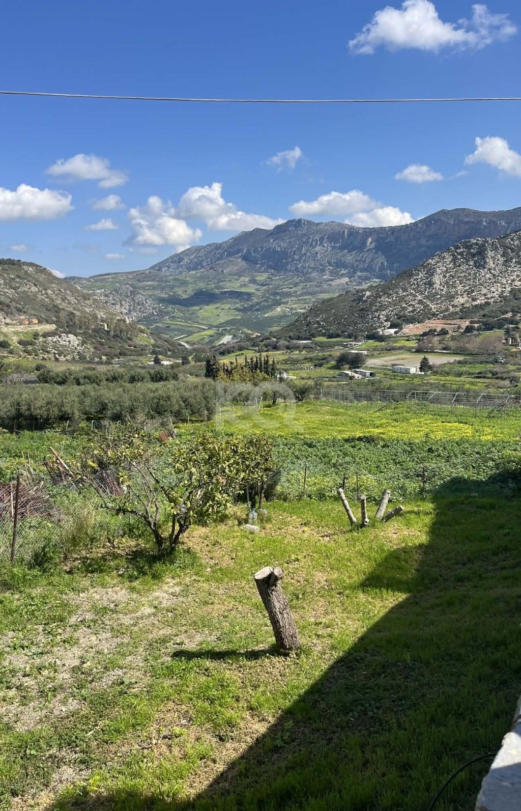 εικόνα αγγελίας