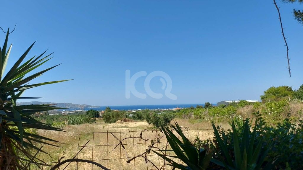 εικόνα αγγελίας