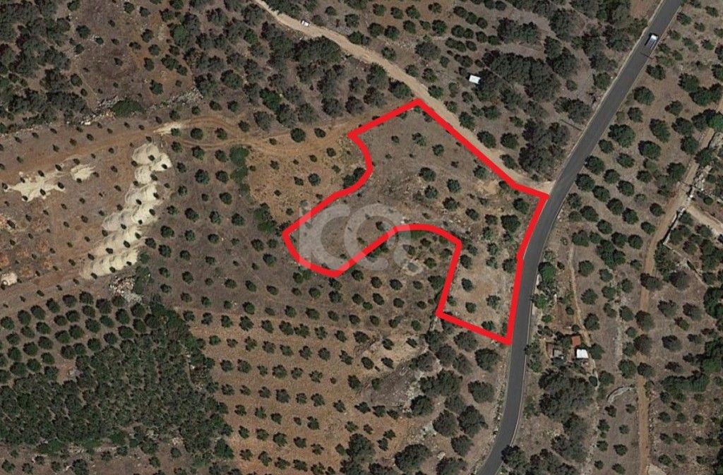 εικόνα αγγελίας