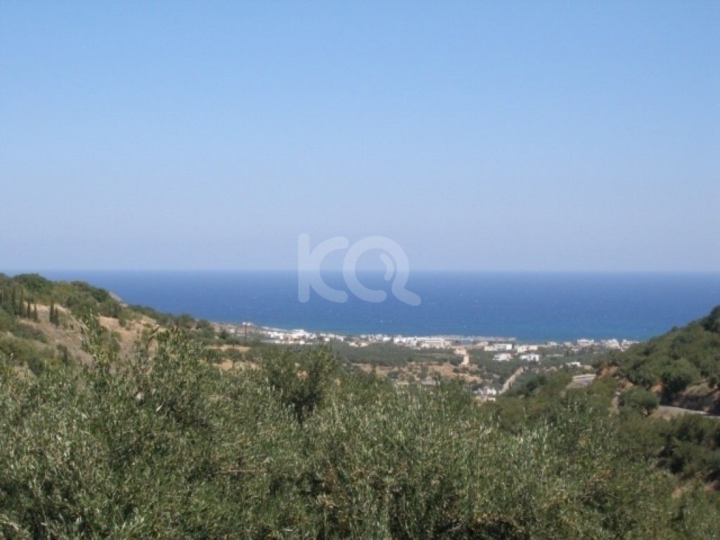 εικόνα αγγελίας