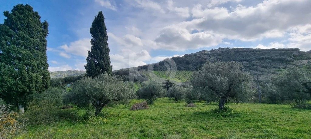 εικόνα αγγελίας