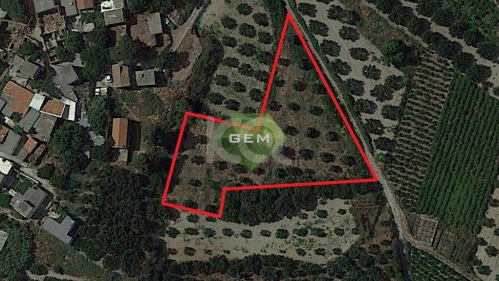 εικόνα αγγελίας