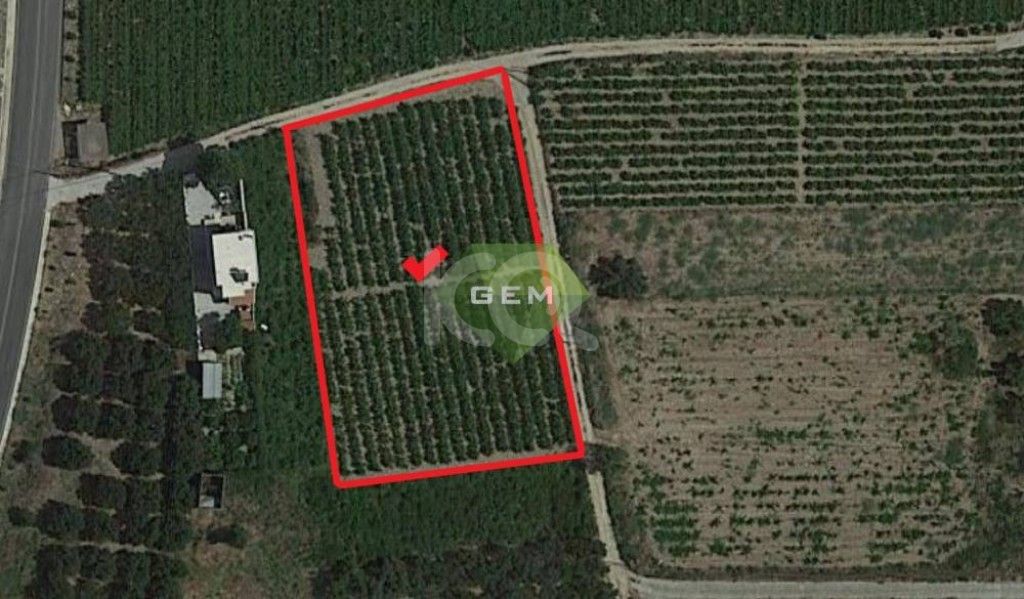 εικόνα αγγελίας