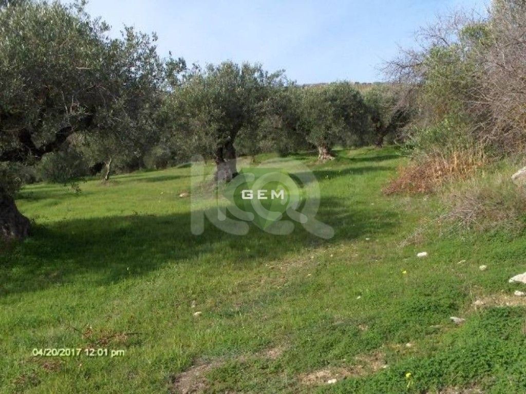 εικόνα αγγελίας