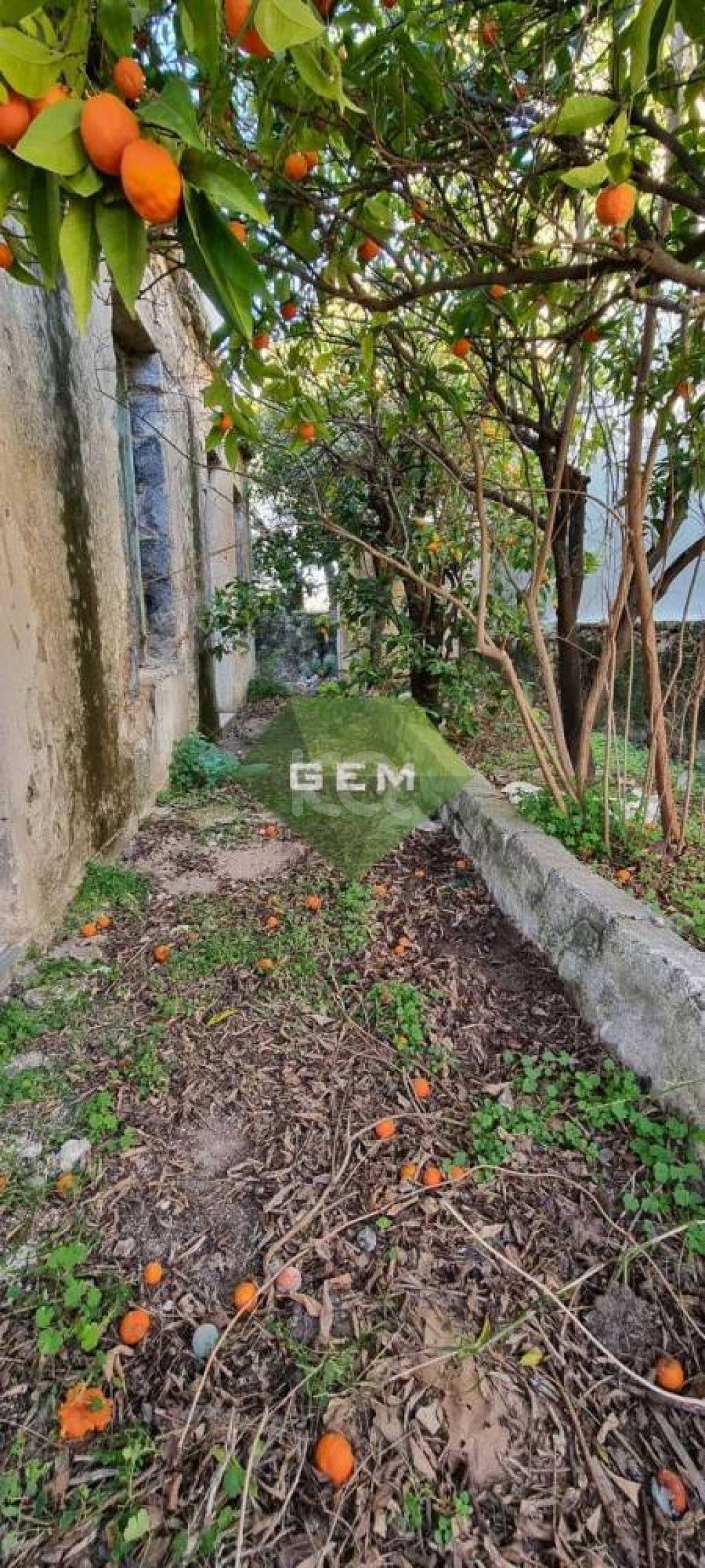 εικόνα αγγελίας