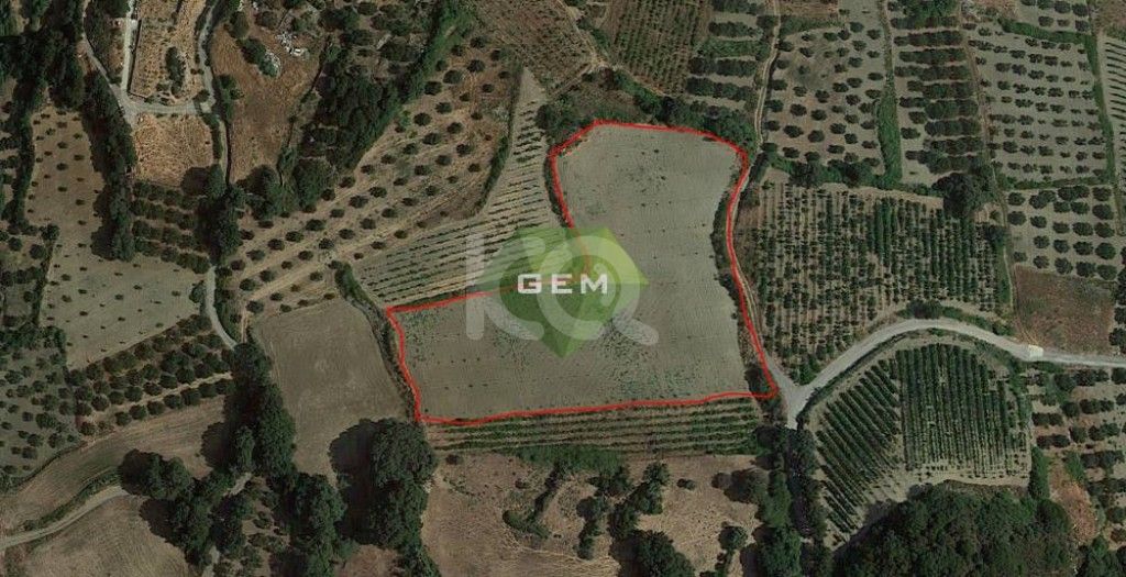 εικόνα αγγελίας