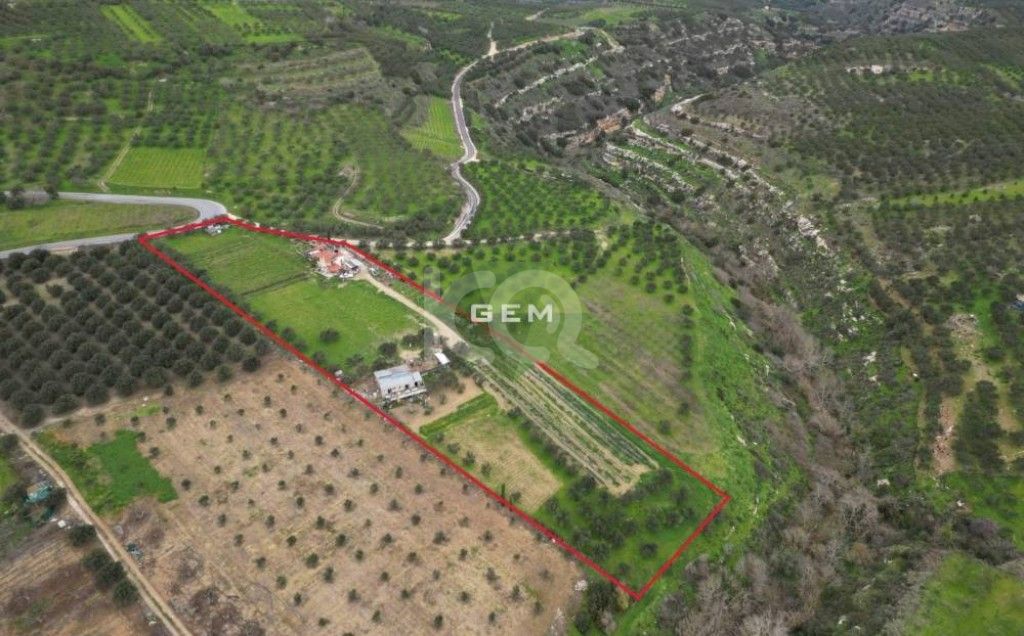 εικόνα αγγελίας