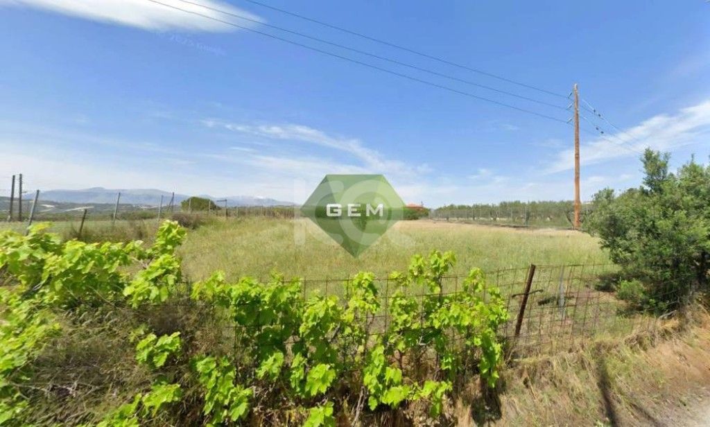 εικόνα αγγελίας