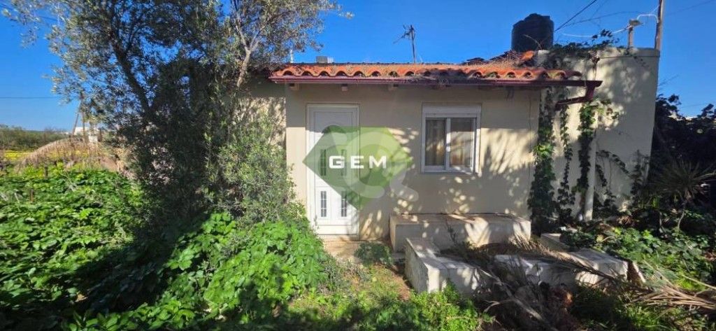 εικόνα αγγελίας