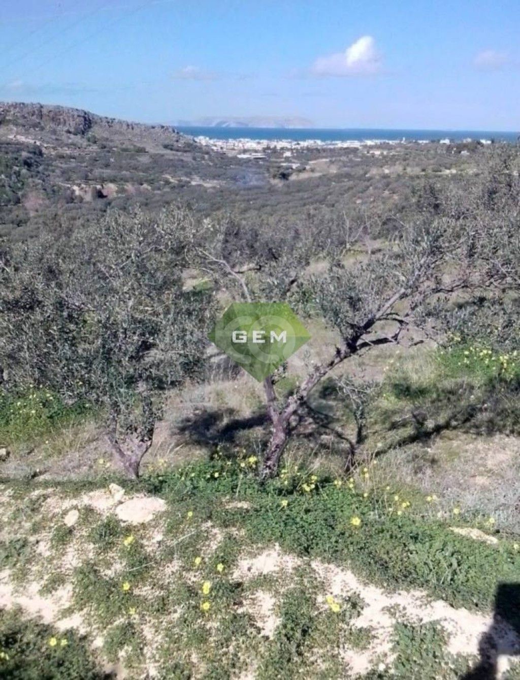 εικόνα αγγελίας