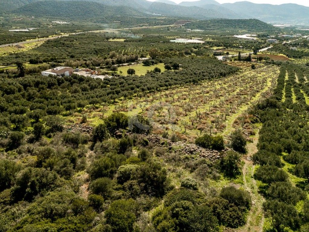 εικόνα αγγελίας