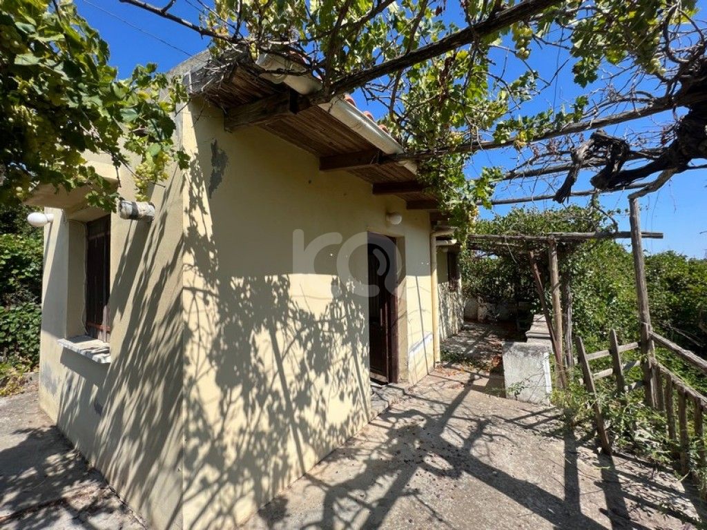 εικόνα αγγελίας