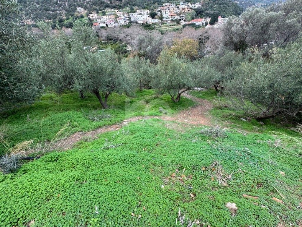 εικόνα αγγελίας