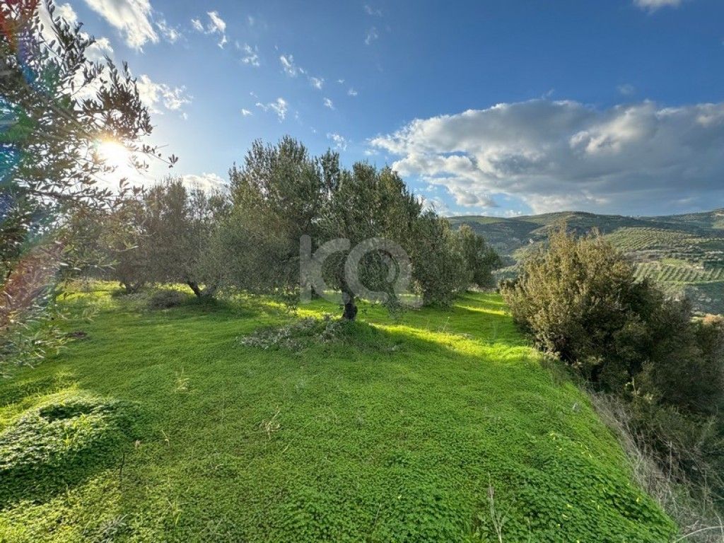 εικόνα αγγελίας