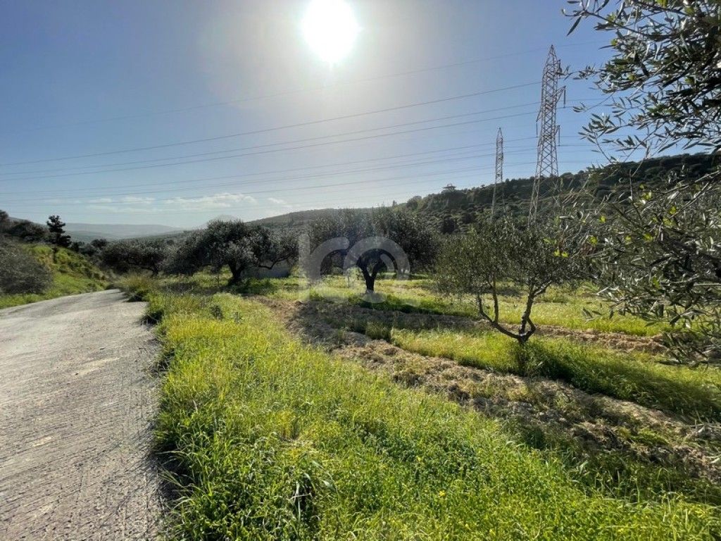 εικόνα αγγελίας