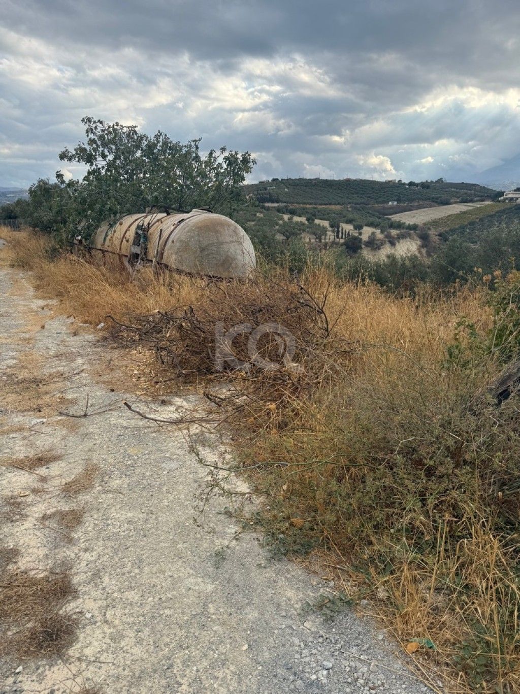 εικόνα αγγελίας