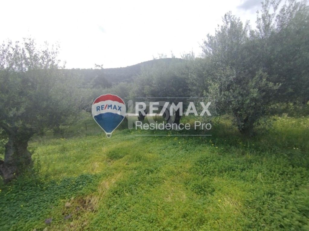 εικόνα αγγελίας