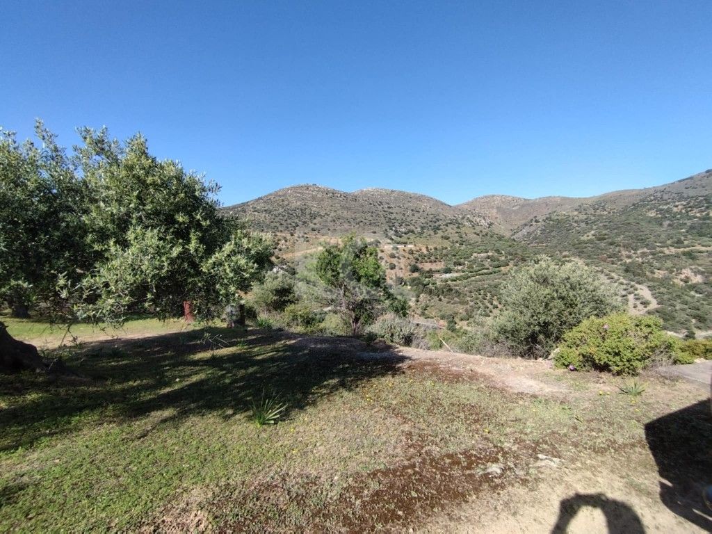 εικόνα αγγελίας