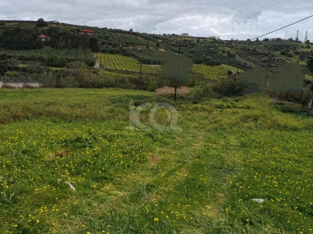 εικόνα αγγελίας