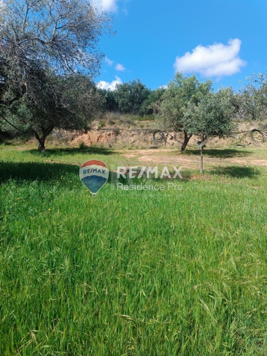 εικόνα αγγελίας