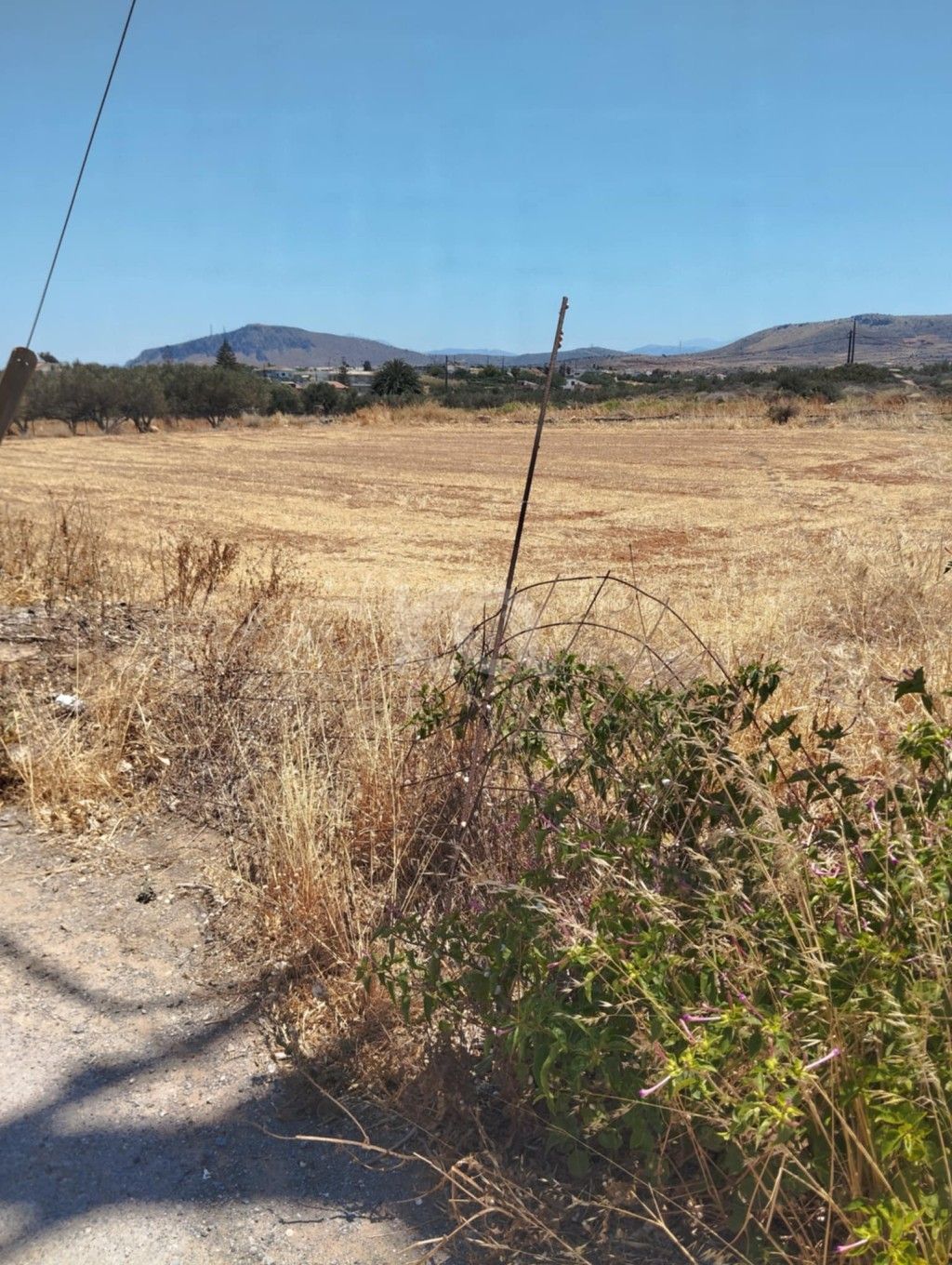 εικόνα αγγελίας