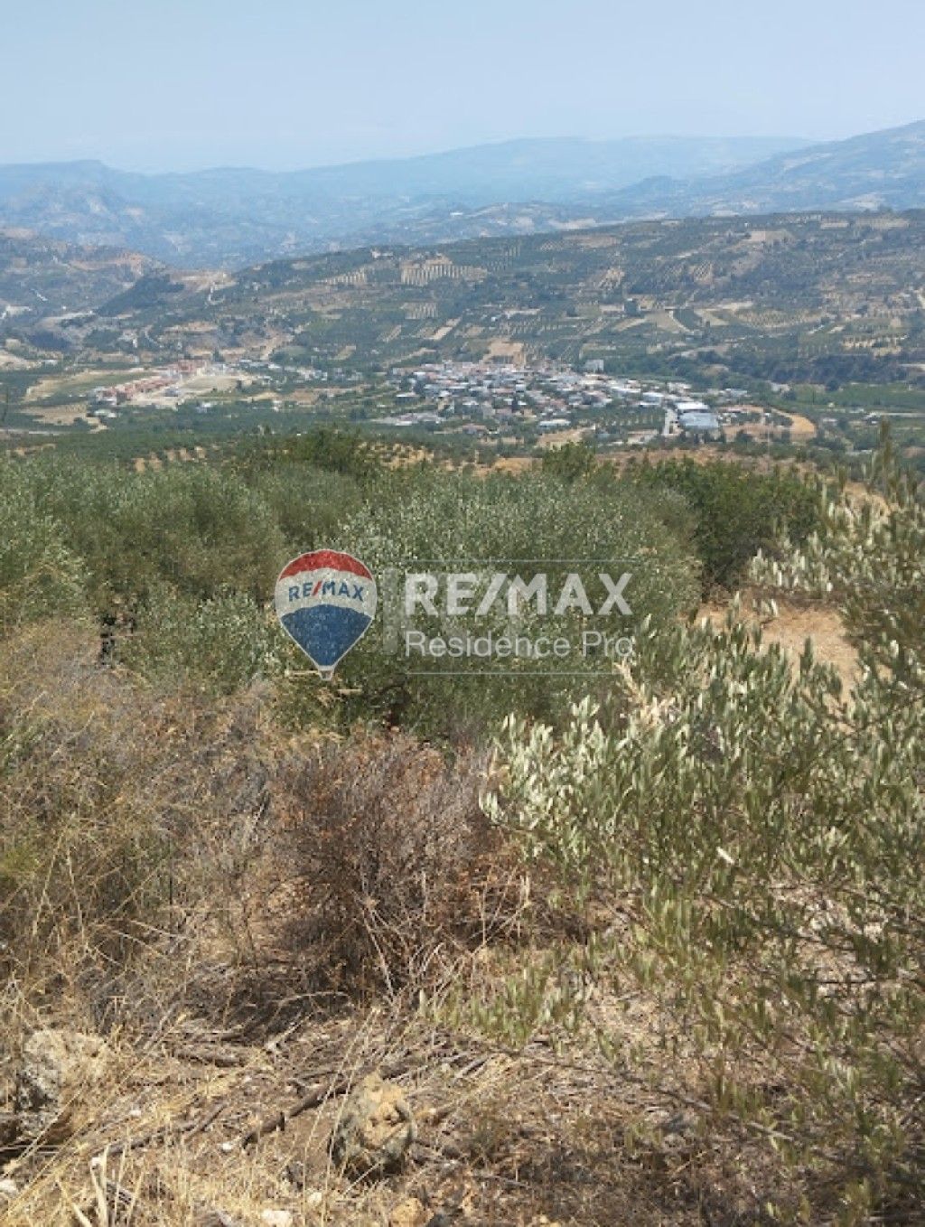 εικόνα αγγελίας