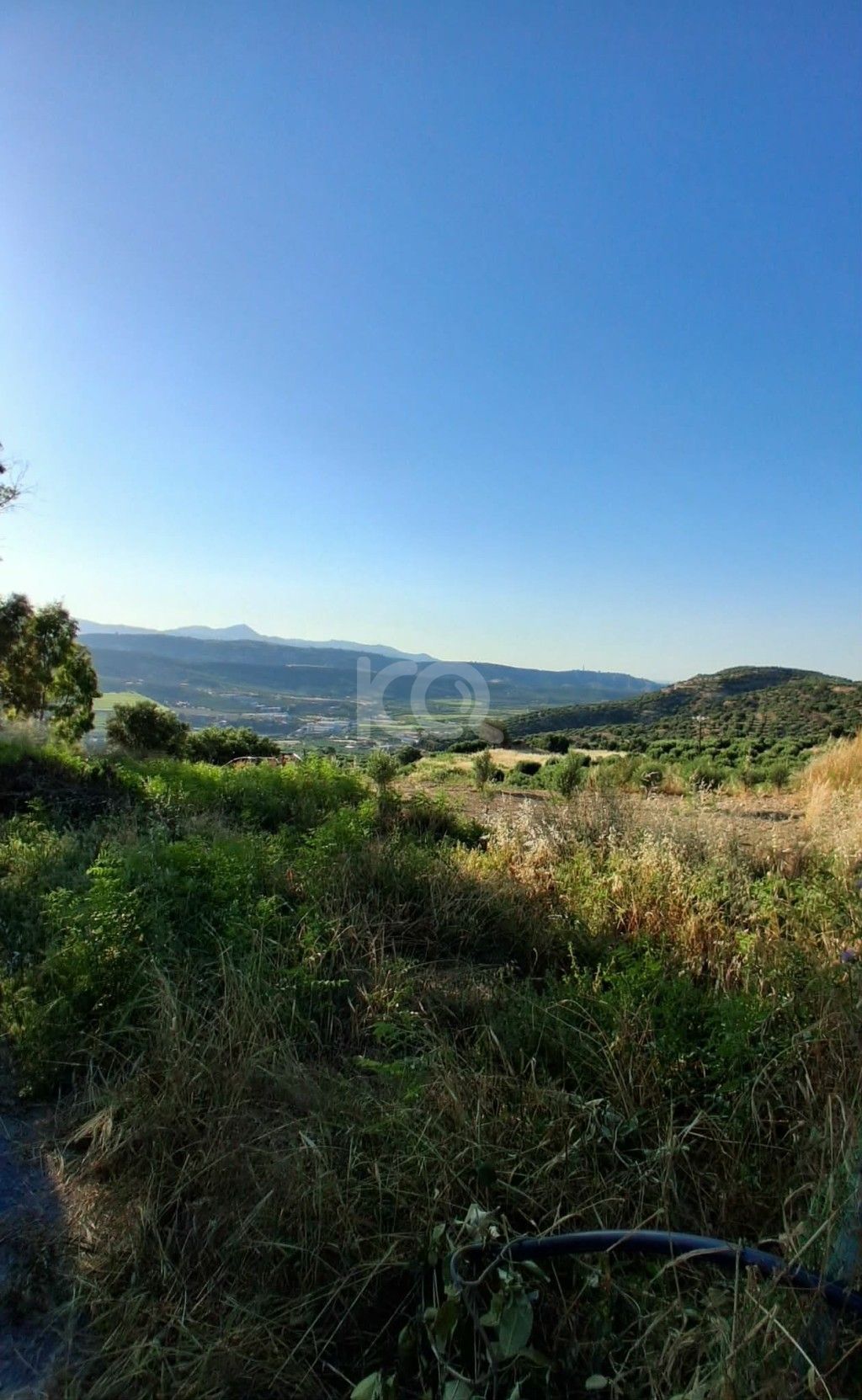 εικόνα αγγελίας