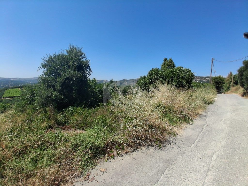 εικόνα αγγελίας