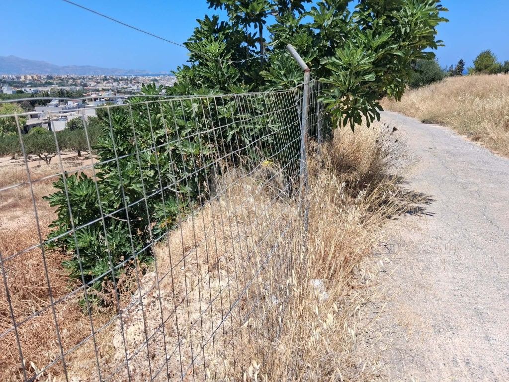 εικόνα αγγελίας