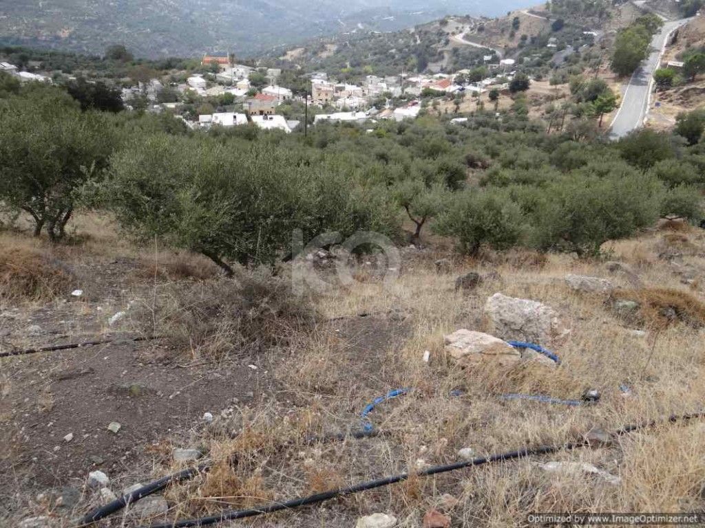 εικόνα αγγελίας