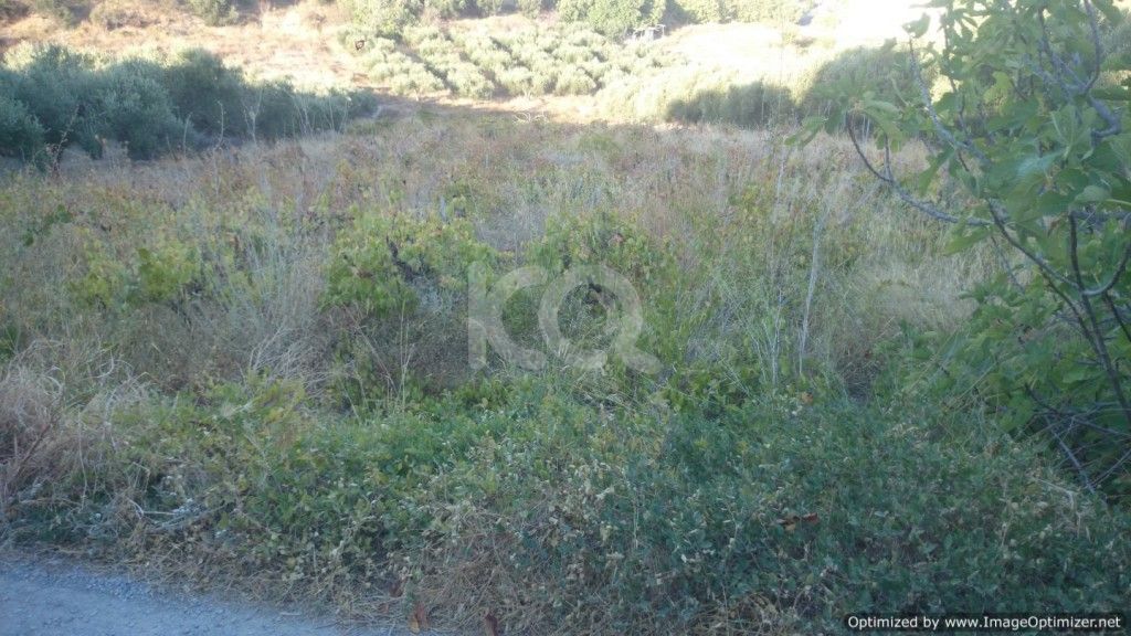 εικόνα αγγελίας