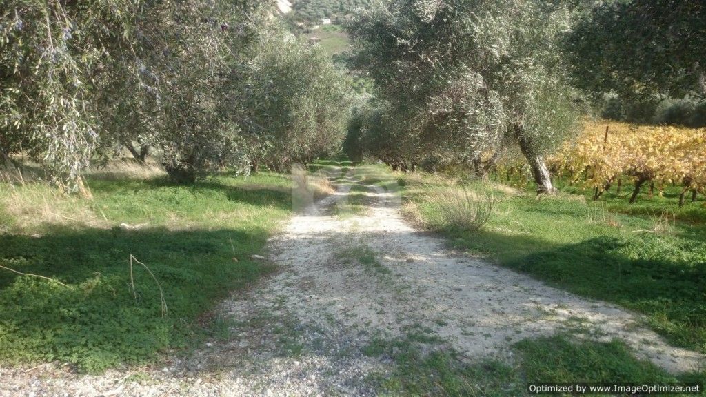 εικόνα αγγελίας