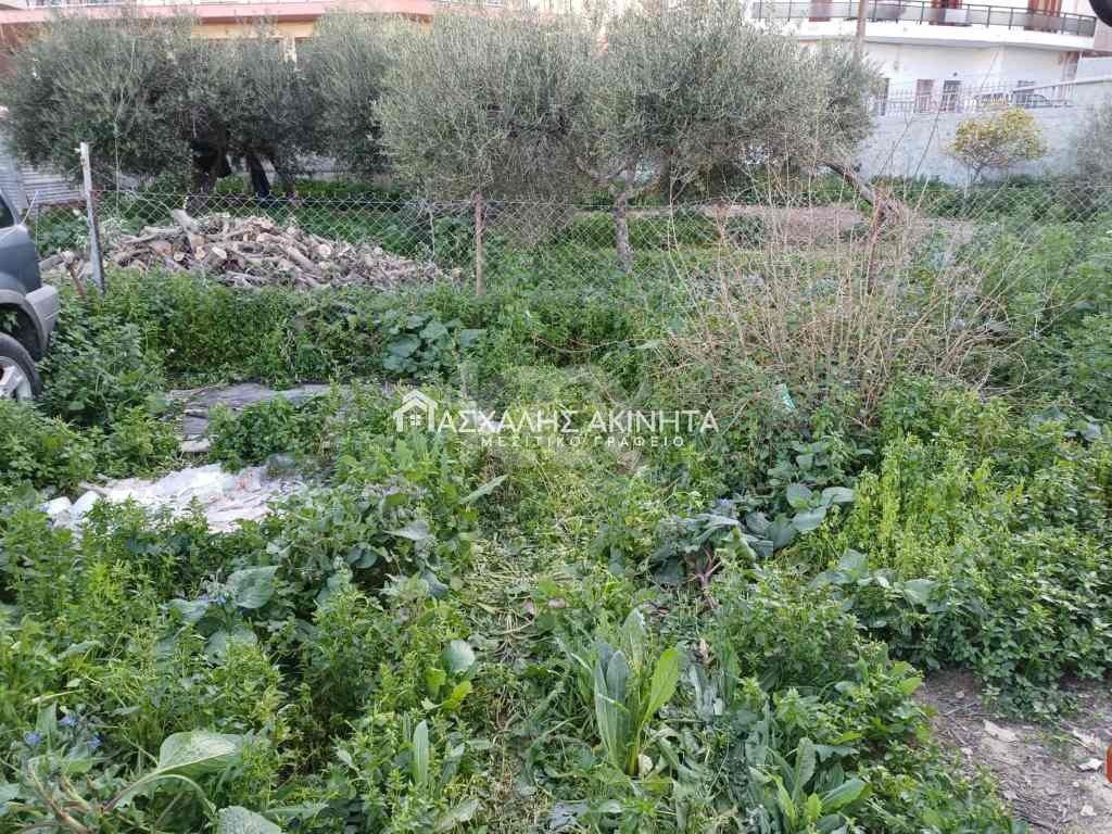 εικόνα αγγελίας