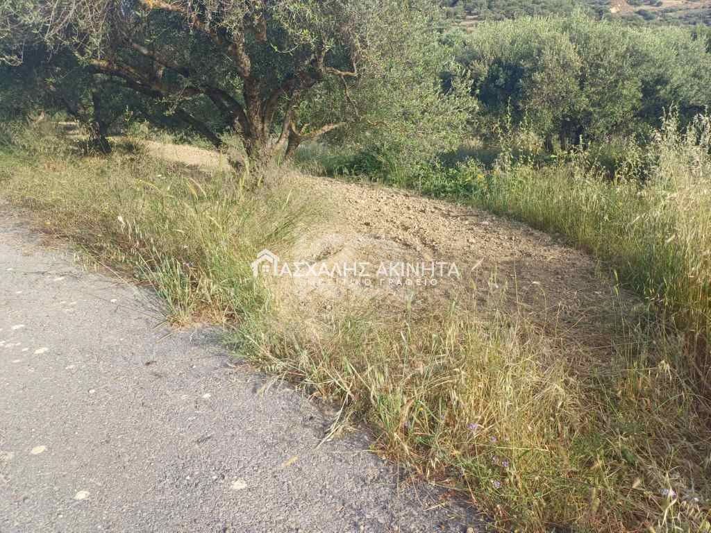 εικόνα αγγελίας