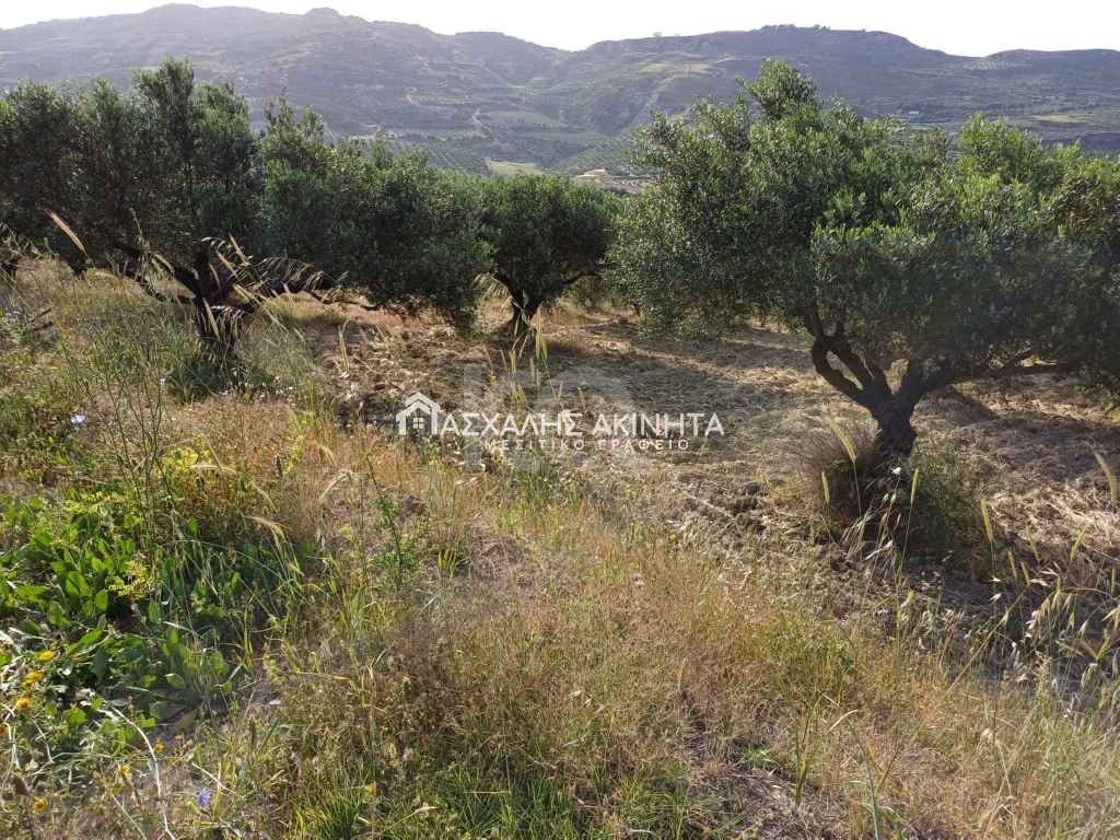 εικόνα αγγελίας