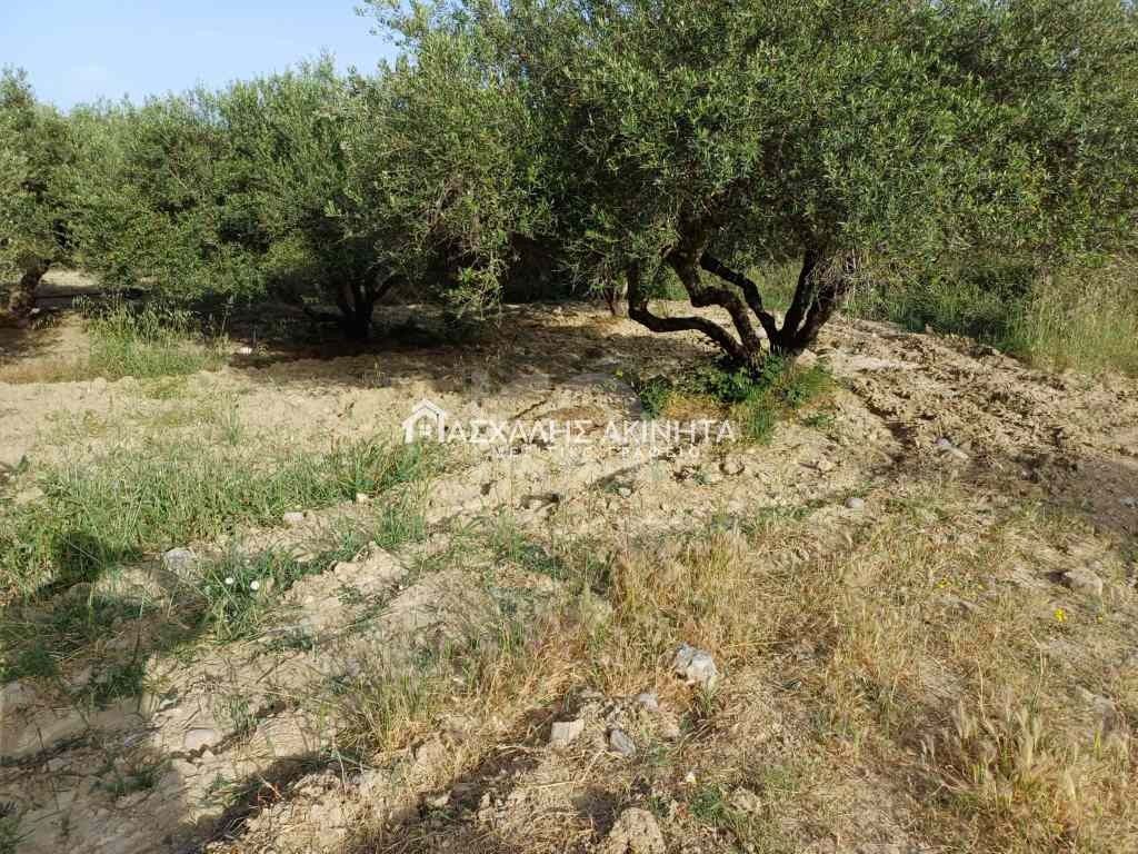 εικόνα αγγελίας