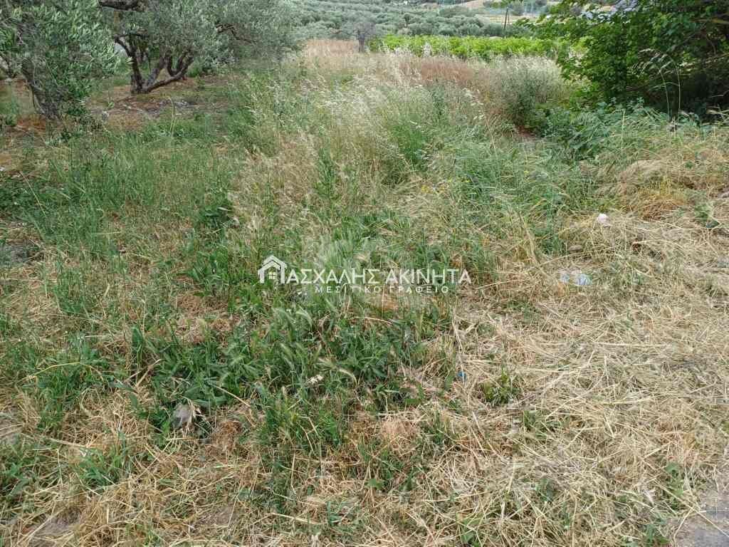 εικόνα αγγελίας