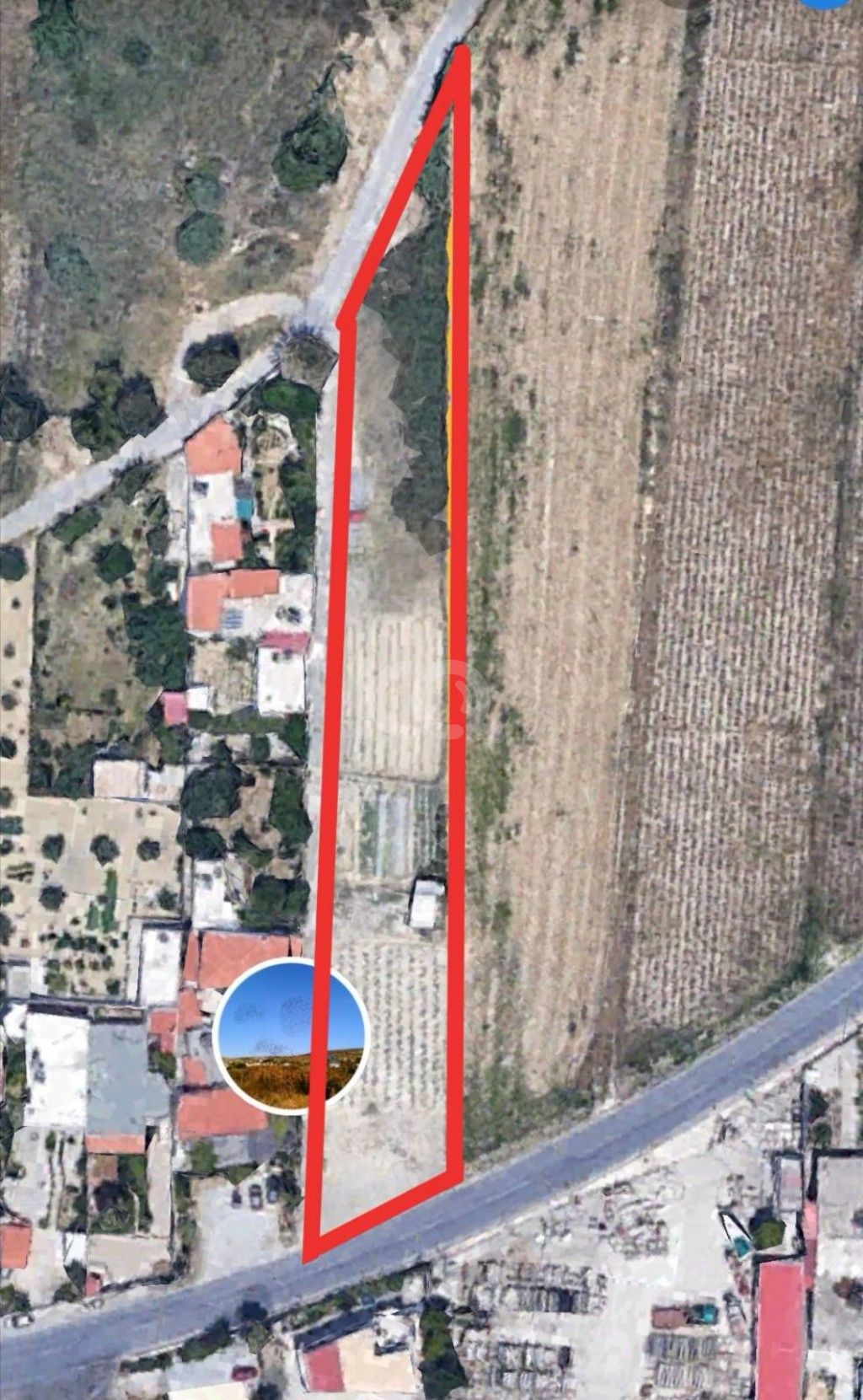 εικόνα αγγελίας