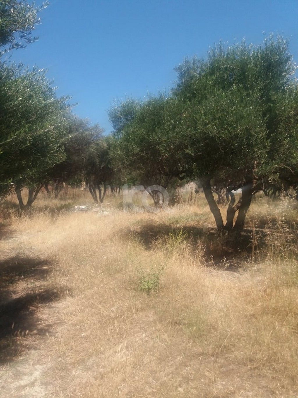 εικόνα αγγελίας