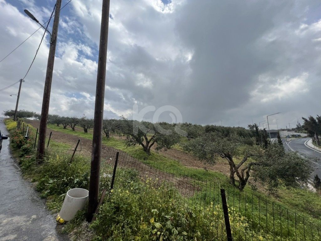 εικόνα αγγελίας