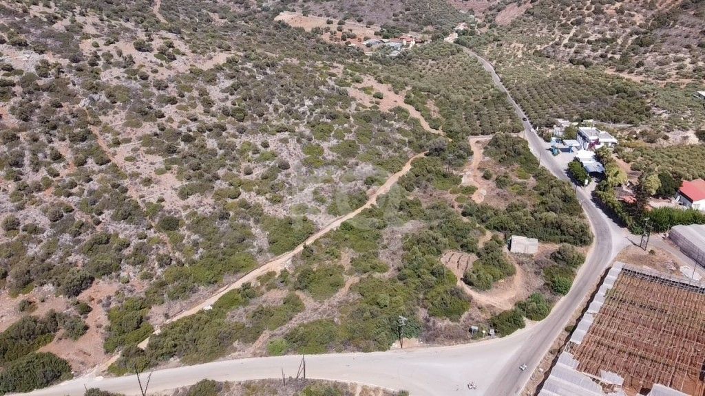 εικόνα αγγελίας