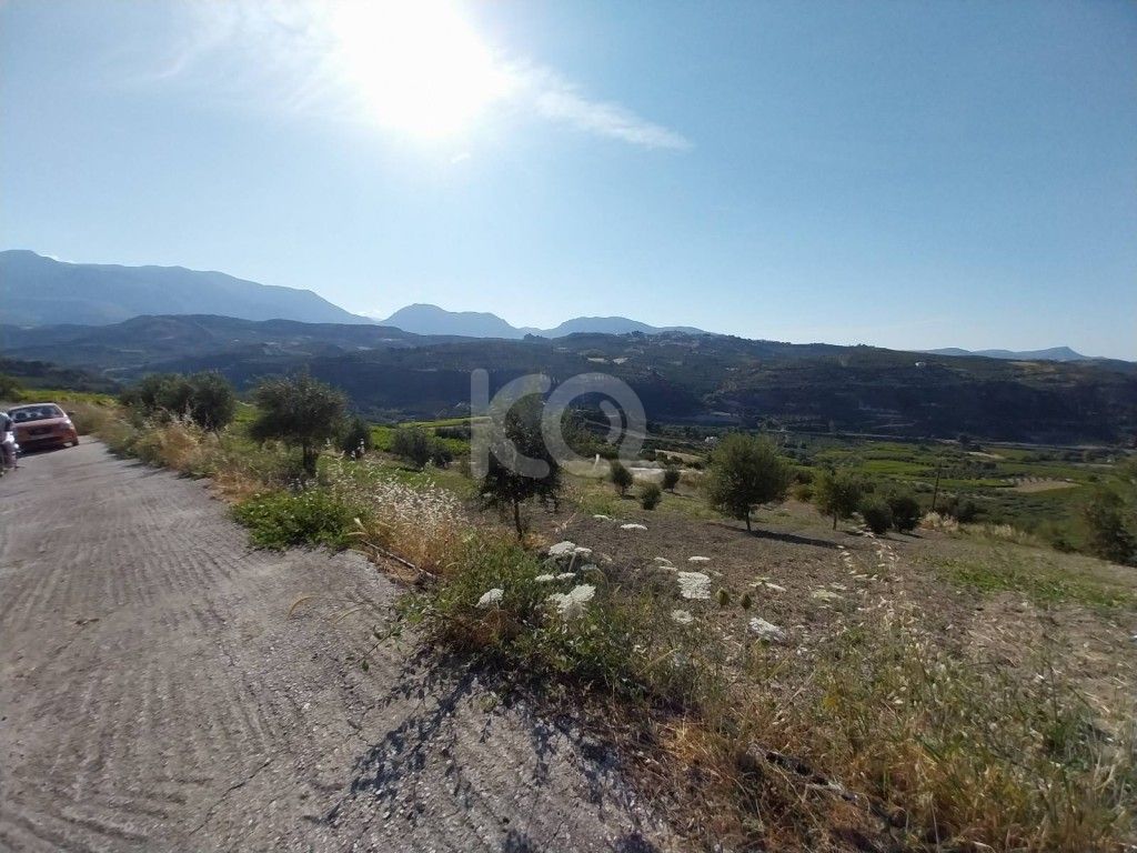 εικόνα αγγελίας