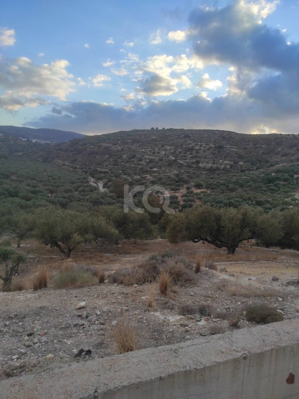 εικόνα αγγελίας